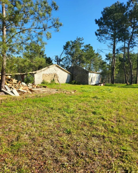 Terreno para Venda em Vieira de Leiria