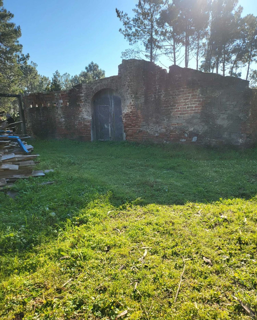 Terreno para Venda em Vieira de Leiria Foto 11