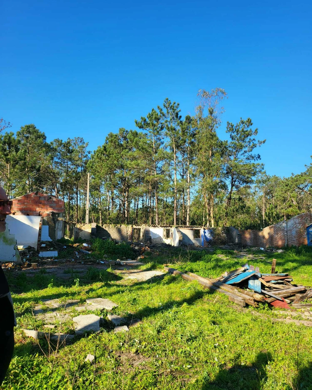 Terreno para Venda em Vieira de Leiria Foto 10