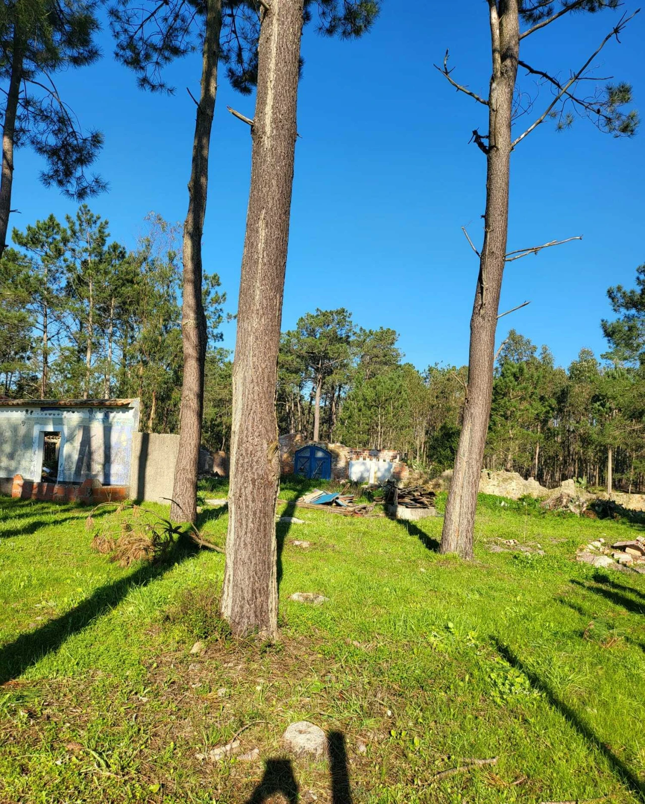 Terreno para Venda em Vieira de Leiria Foto 3