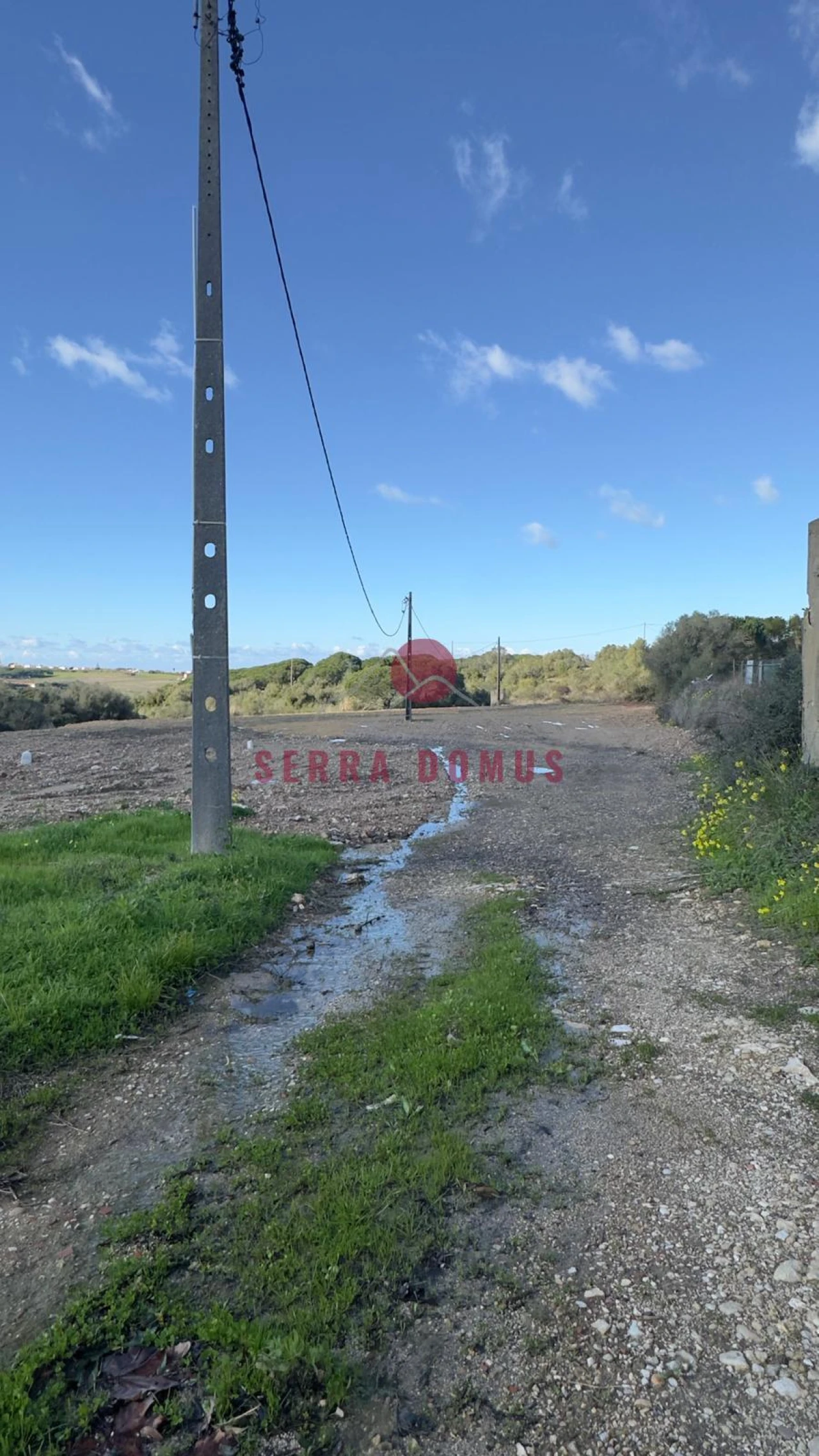 Terreno para Venda em São João das Lampas e Terrugem Foto 11