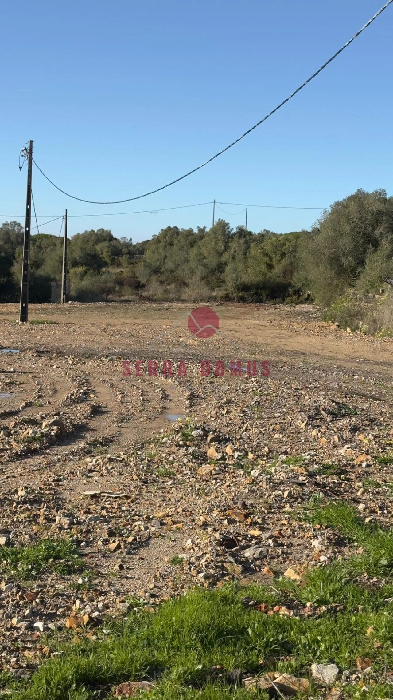 Terreno para Venda em São João das Lampas e Terrugem Foto 9