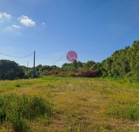 Terreno para Venda em São João das Lampas e Terrugem
