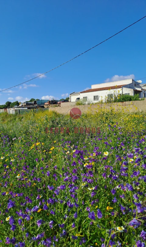 Terreno para Venda em São João das Lampas e Terrugem