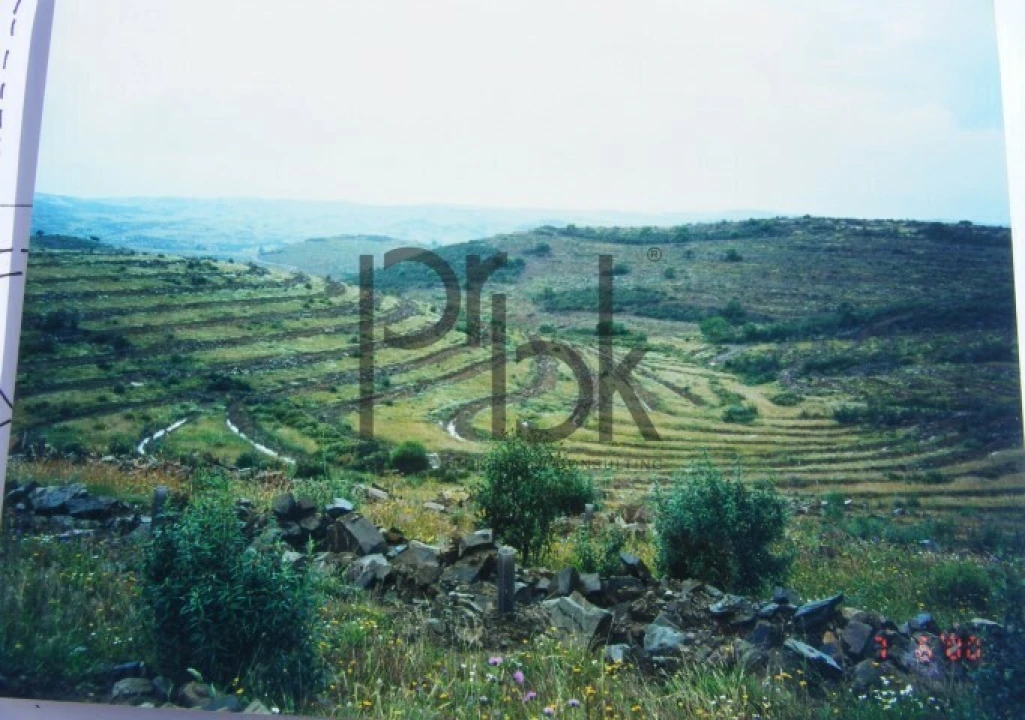 Quinta T0 para Venda em São Miguel do Pinheiro, São Pedro de Solis, São Sebastião dos Carros Foto 20