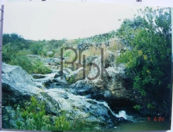 Quinta T0 para Venda em São Miguel do Pinheiro, São Pedro de Solis, São Sebastião dos Carros