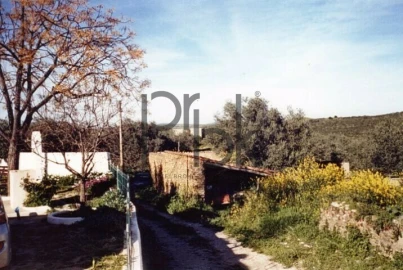 Quinta T0 para Venda em São Miguel do Pinheiro, São Pedro de Solis, São Sebastião dos Carros