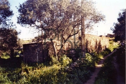 Quinta T0 para Venda em São Miguel do Pinheiro, São Pedro de Solis, São Sebastião dos Carros