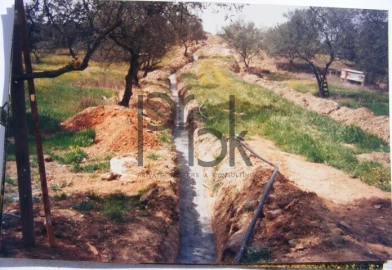 Quinta T0 para Venda em São Miguel do Pinheiro, São Pedro de Solis, São Sebastião dos Carros