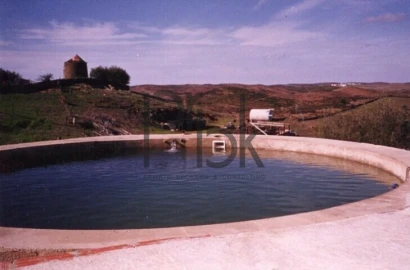 Quinta T0 para Venda em São Miguel do Pinheiro, São Pedro de Solis, São Sebastião dos Carros