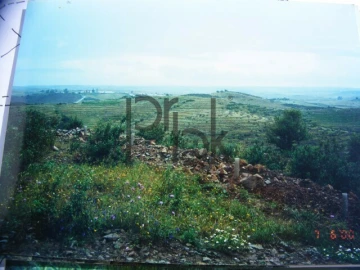 Quinta T0 para Venda em São Miguel do Pinheiro, São Pedro de Solis, São Sebastião dos Carros