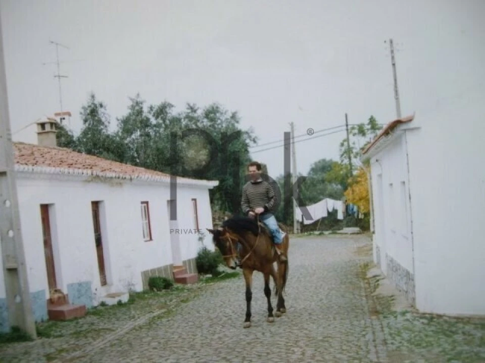 Quinta T0 para Venda em São Miguel do Pinheiro, São Pedro de Solis, São Sebastião dos Carros Foto 2