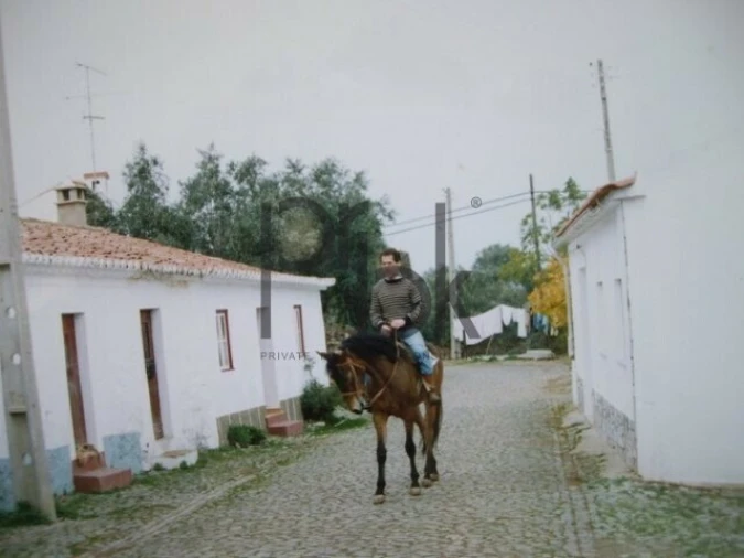 Quinta T0 para Venda em São Miguel do Pinheiro, São Pedro de Solis, São Sebastião dos Carros Foto 2