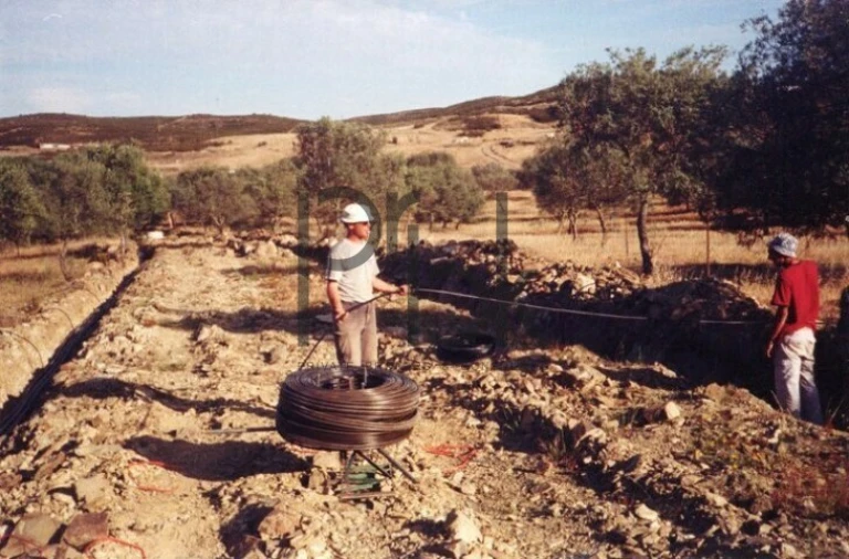 Quinta T0 para Venda em São Miguel do Pinheiro, São Pedro de Solis, São Sebastião dos Carros Foto 7