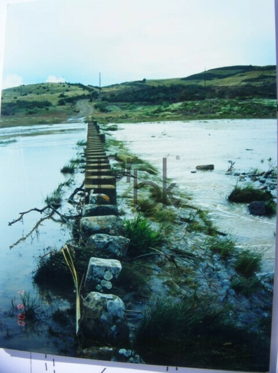 Quinta T0 para Venda em São Miguel do Pinheiro, São Pedro de Solis, São Sebastião dos Carros Foto 18