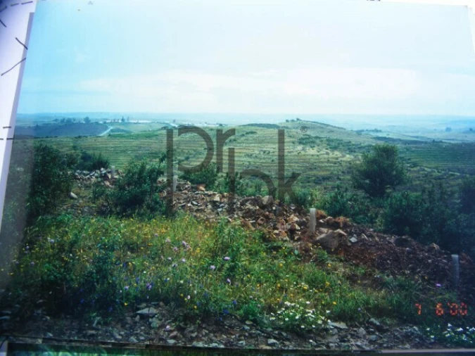 Quinta T0 para Venda em São Miguel do Pinheiro, São Pedro de Solis, São Sebastião dos Carros Foto 15