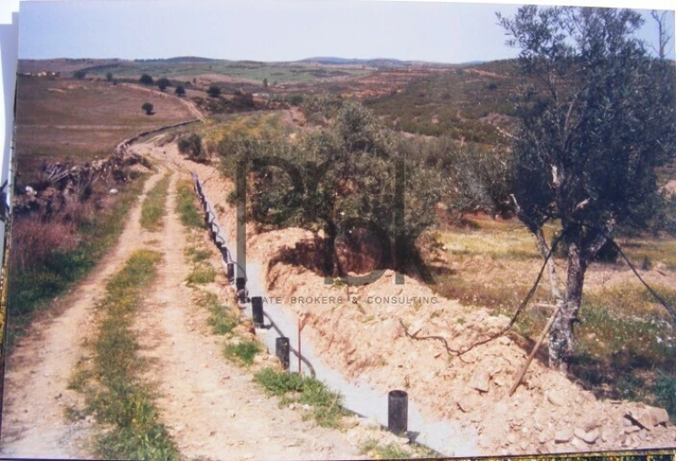 Quinta T0 para Venda em São Miguel do Pinheiro, São Pedro de Solis, São Sebastião dos Carros Foto 4