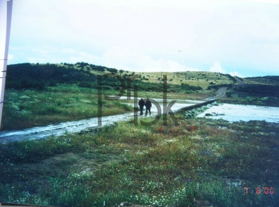 Quinta T0 para Venda em São Miguel do Pinheiro, São Pedro de Solis, São Sebastião dos Carros Foto 19