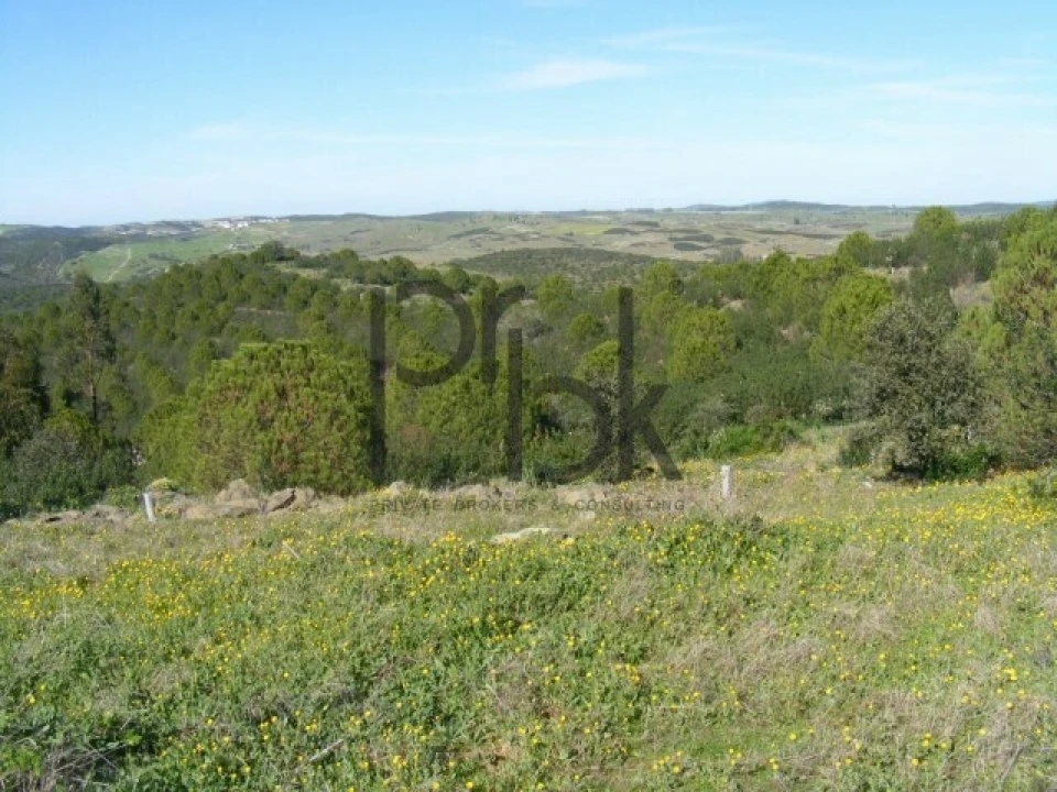 Quinta T0 para Venda em São Miguel do Pinheiro, São Pedro de Solis, São Sebastião dos Carros Foto 13
