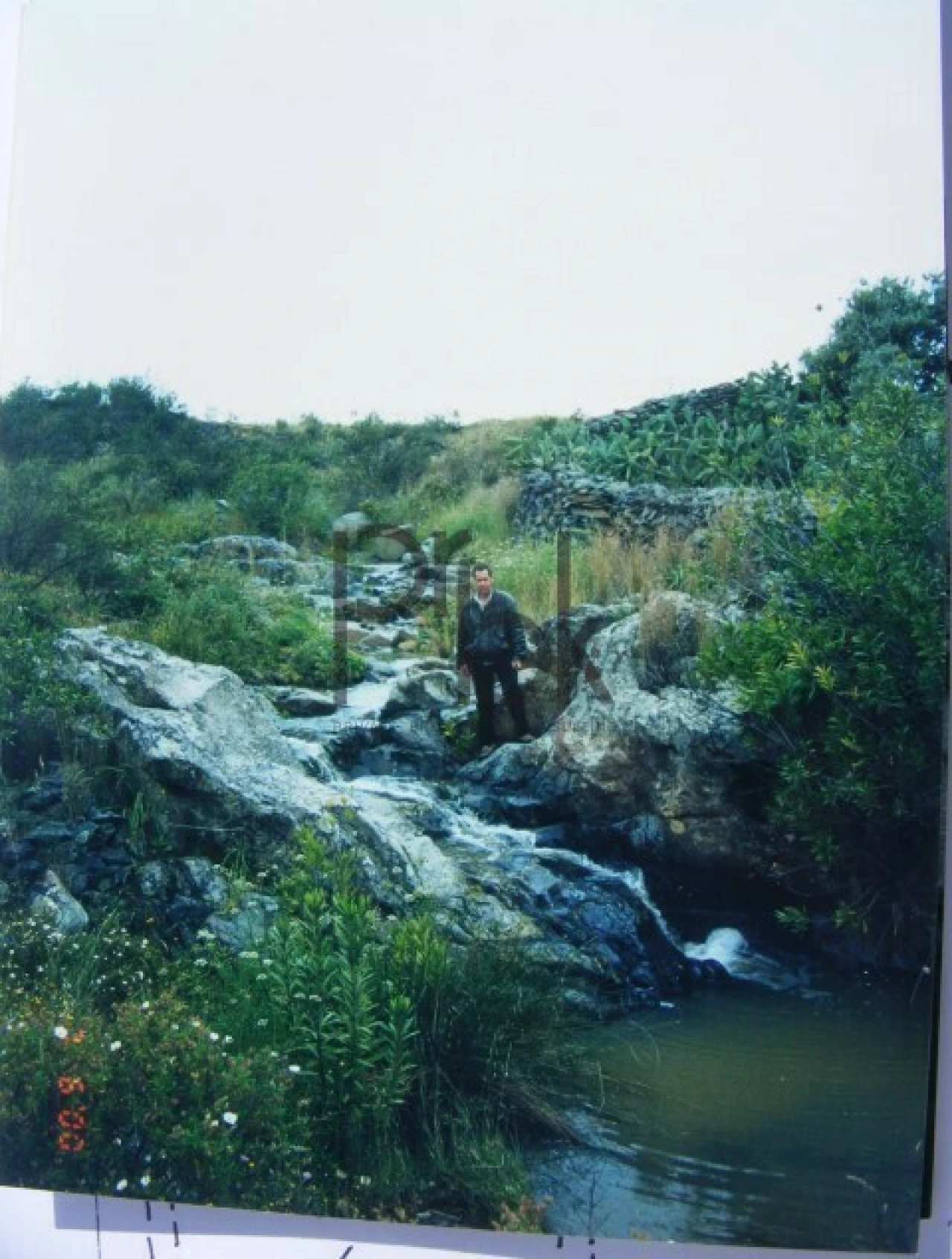 Quinta T0 para Venda em São Miguel do Pinheiro, São Pedro de Solis, São Sebastião dos Carros Foto 16