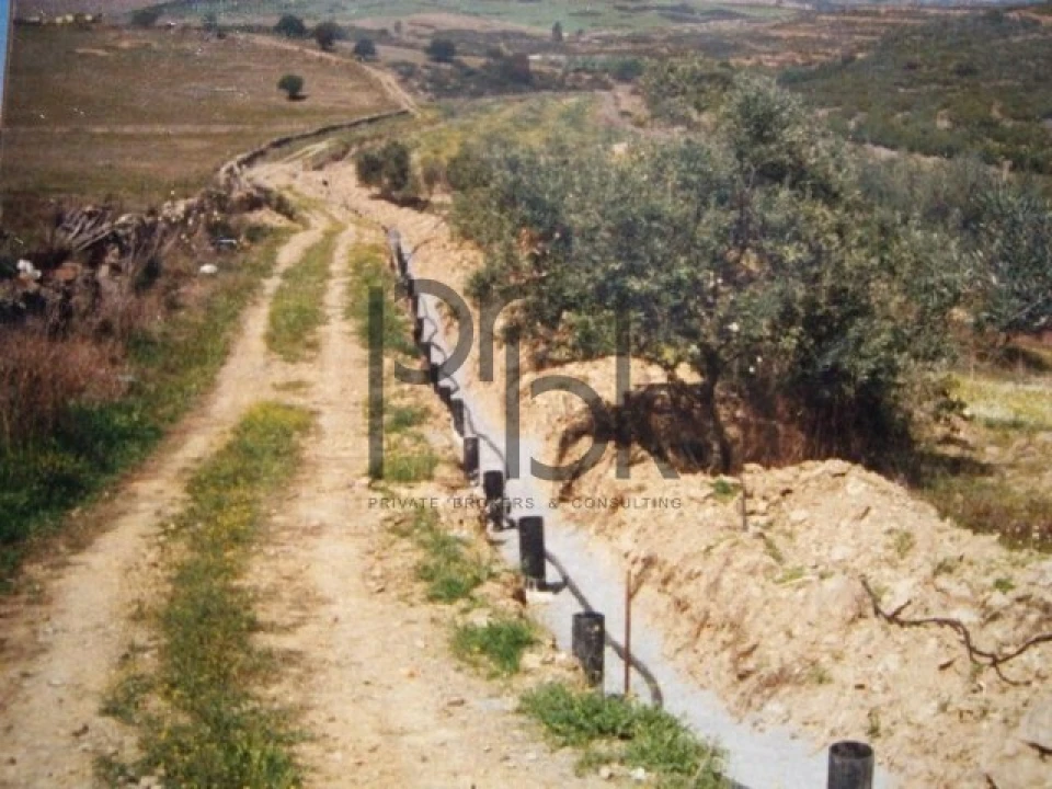 Quinta T0 para Venda em São Miguel do Pinheiro, São Pedro de Solis, São Sebastião dos Carros Foto 5