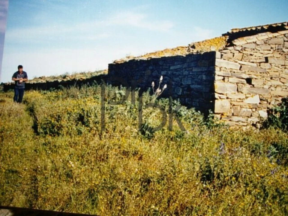 Quinta T0 para Venda em São Miguel do Pinheiro, São Pedro de Solis, São Sebastião dos Carros Foto 3