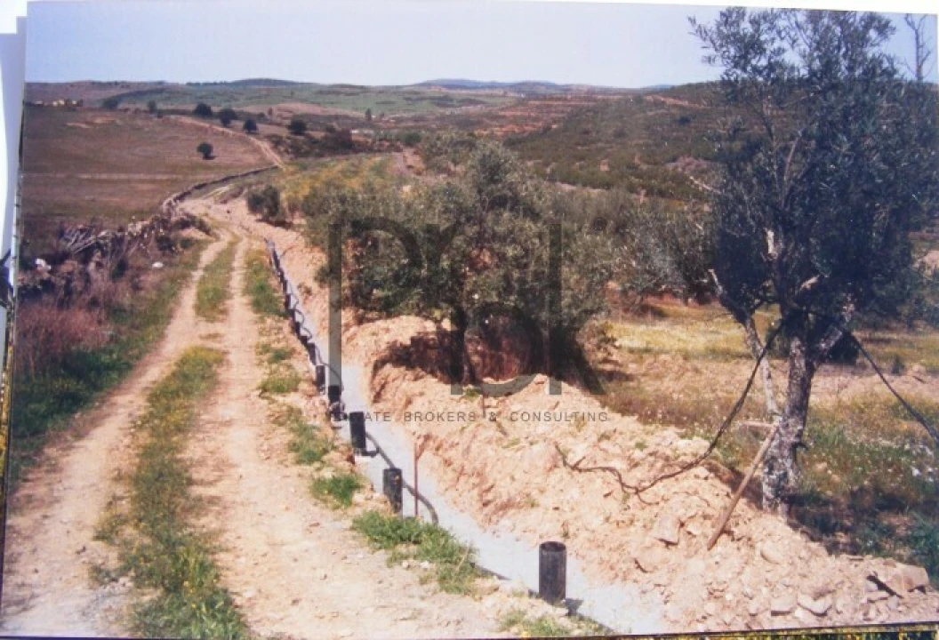 Quinta T0 para Venda em São Miguel do Pinheiro, São Pedro de Solis, São Sebastião dos Carros Foto 4