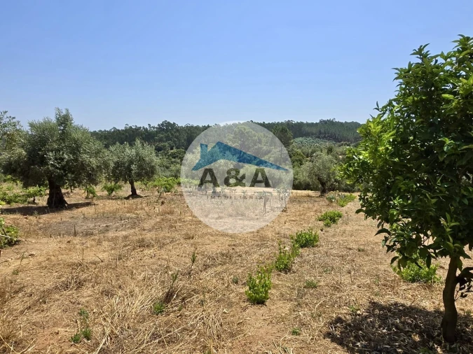 Moradia T3 para Venda em Atouguia Foto 12