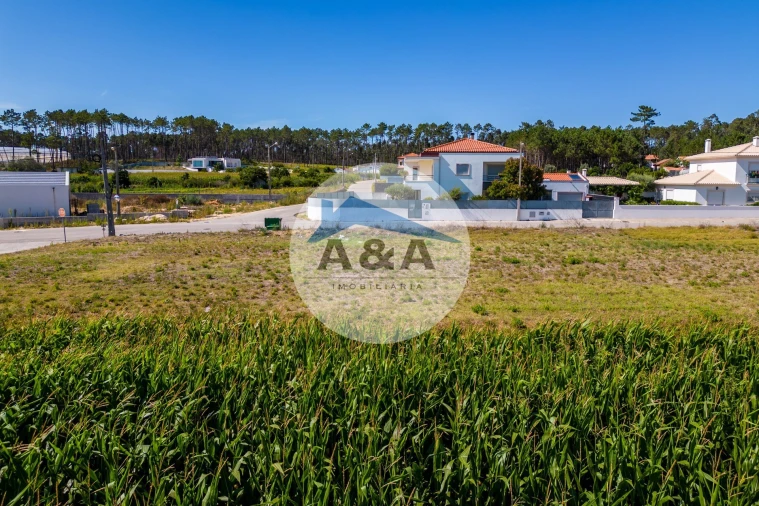 Terreno para Venda em Souto da Carpalhosa e Ortigosa Foto 19