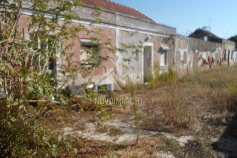 Terreno para Venda em Montijo e Afonsoeiro Foto 3
