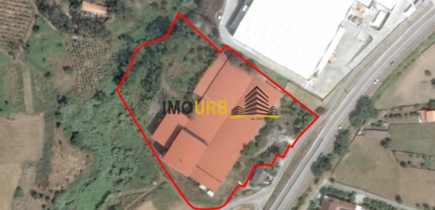 Armazém para Venda em Colmeias e Memória Foto 4