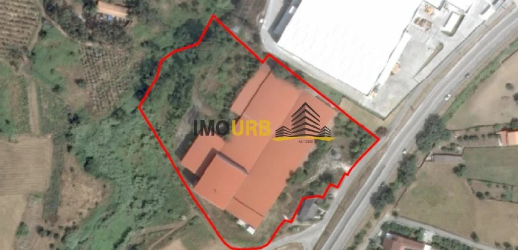 Armazém para Venda em Colmeias e Memória Foto 4
