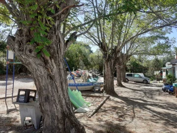 Terreno para Venda em Alcochete