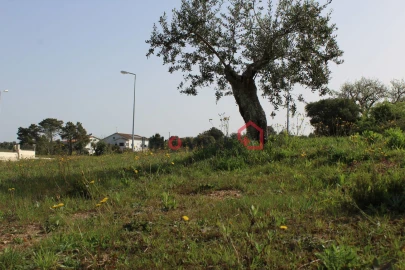 Terreno para Venda em Fatima