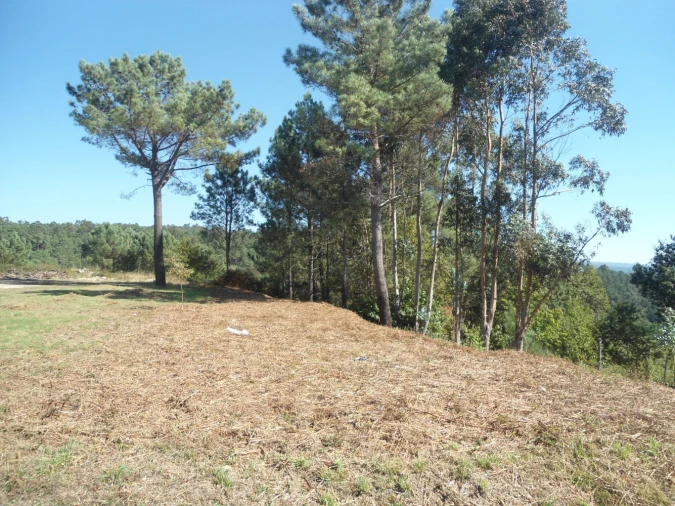 Terreno para Venda em Candemil e Gondar Foto 2