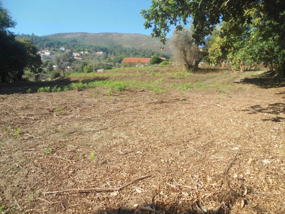 Terreno para Venda em Candemil e Gondar Foto 1