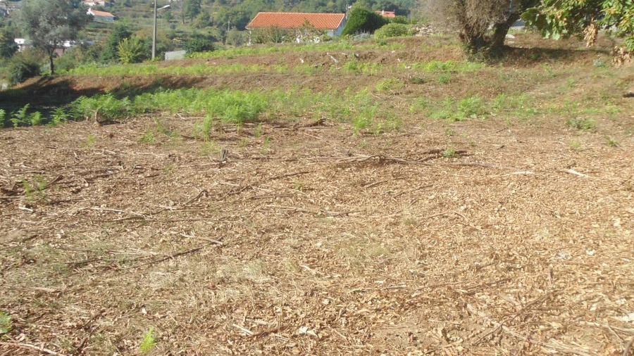 Terreno para Venda em Candemil e Gondar
