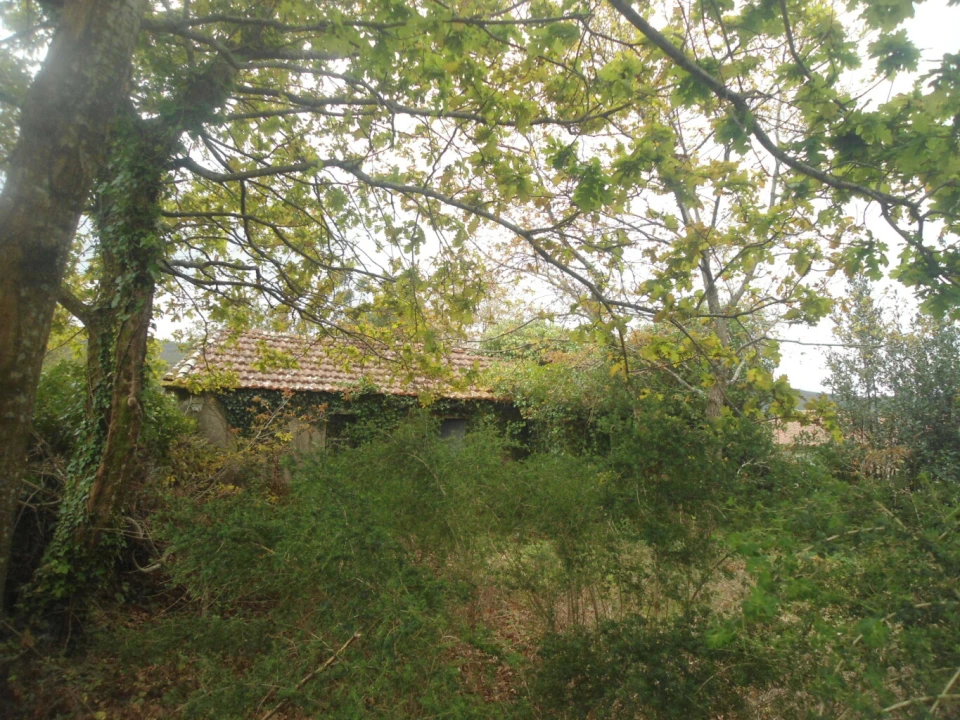 Moradia T0 para Venda em Sopo Foto 5