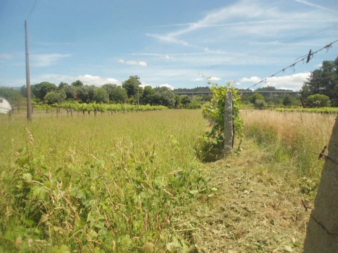 Terreno para Venda em Cornes Foto 2