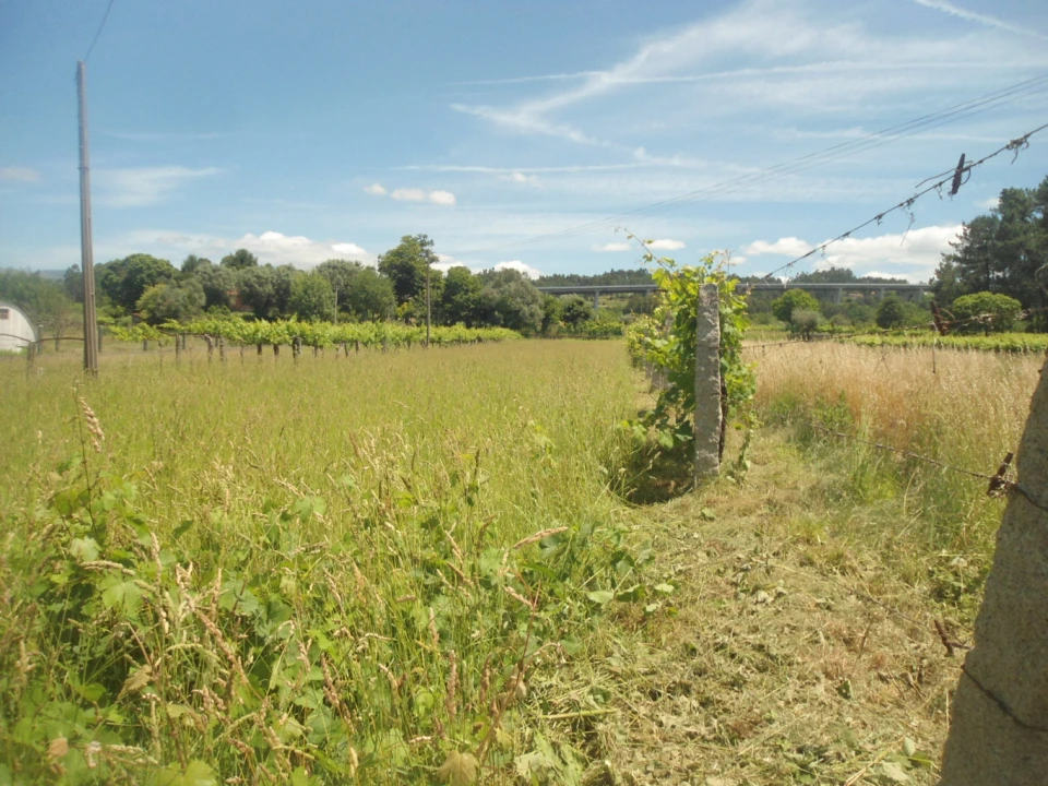 Terreno para Venda em Cornes Foto 2