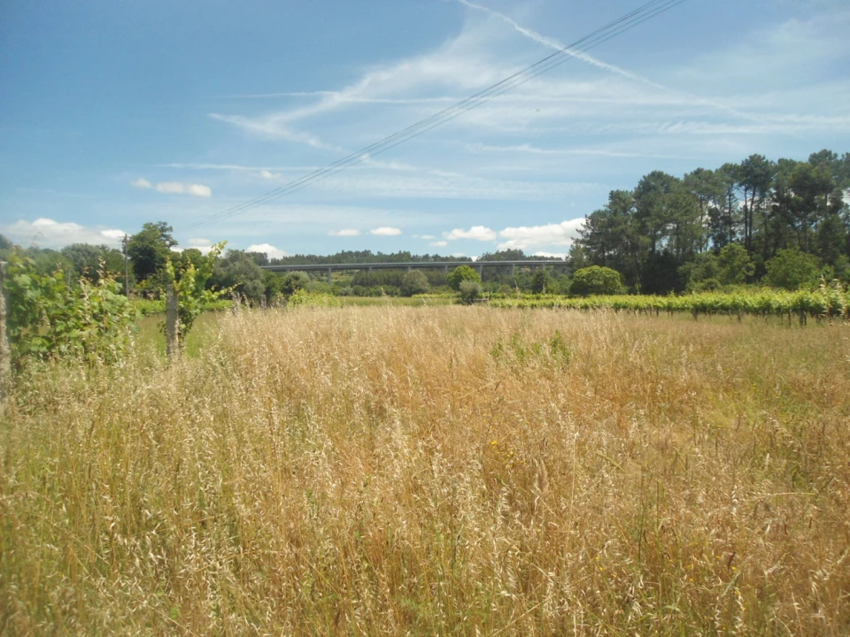 Terreno para Venda em Cornes Foto 3