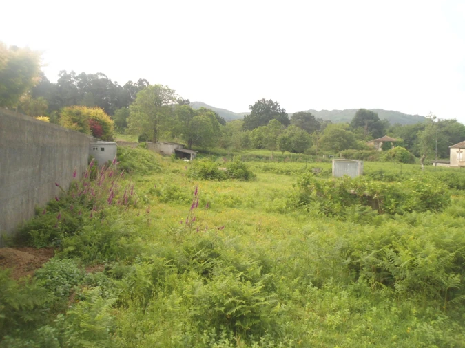 Terreno para Venda em Campos e Vila Meã Foto 2