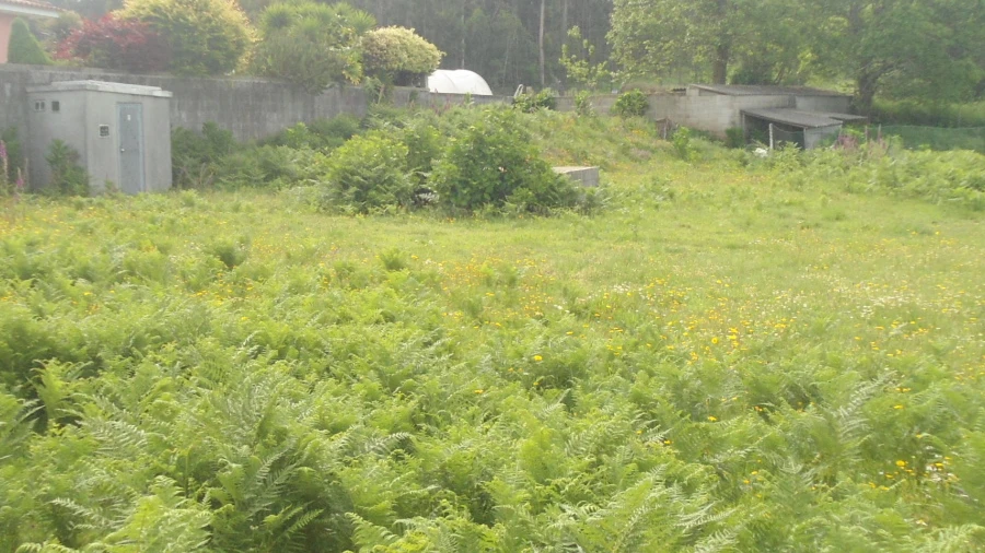 Terreno para Venda em Campos e Vila Meã