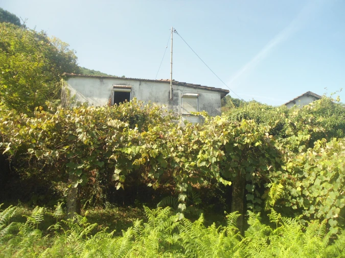 Moradia T2 para Venda em Covas