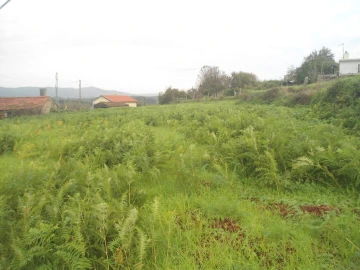 Quinta T0 para Venda em Gondarem
