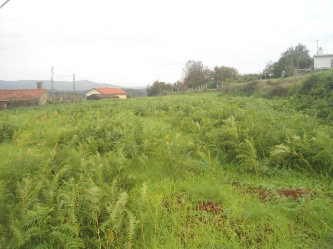 Quinta T0 para Venda em Gondarem Foto 7