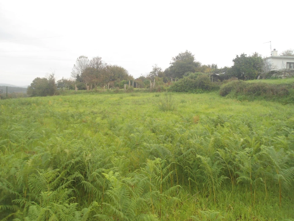 Quinta T0 para Venda em Gondarem Foto 6