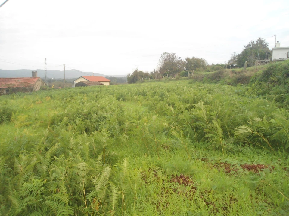 Quinta T0 para Venda em Gondarem Foto 7