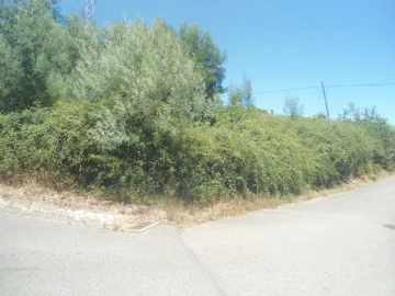 Terreno para Venda em Campos e Vila Meã