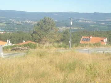 Terreno para Venda em Loivo